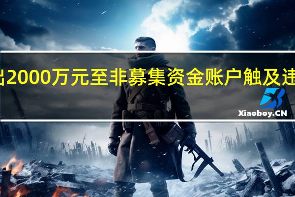 误从募集资金账户划出2000万元至非募集资金账户触及违规联盛化学收深交所监管函