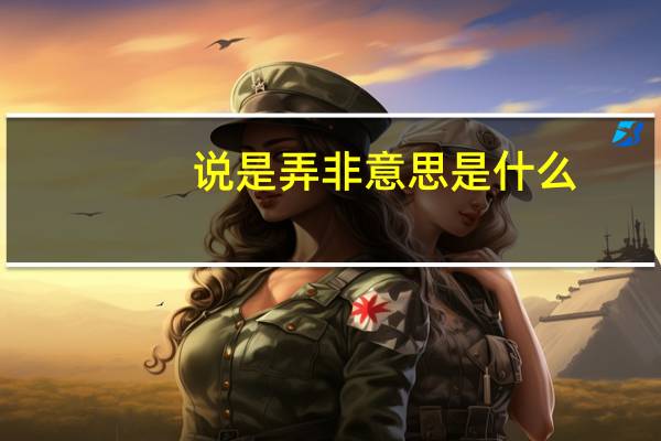 说是弄非意思是什么
