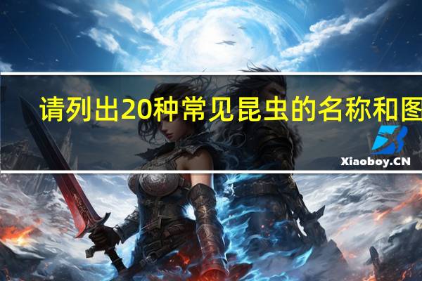 请列出20种常见昆虫的名称和图片