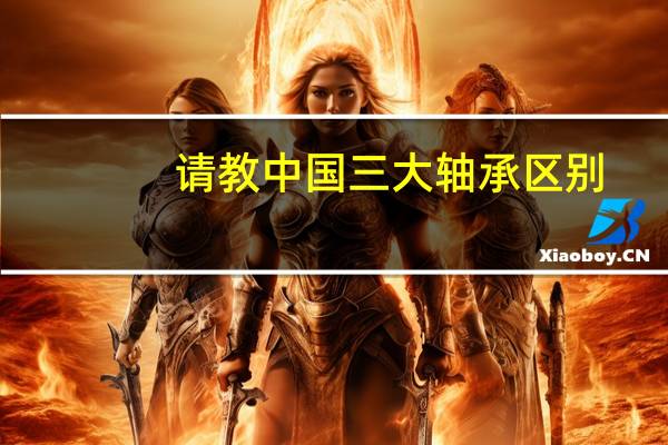 请教中国三大轴承区别