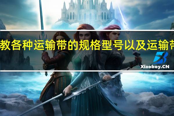 请教各种运输带的规格型号以及运输带的价格