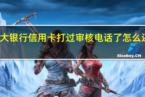 请问光大银行信用卡打过审核电话了怎么还显示未审核