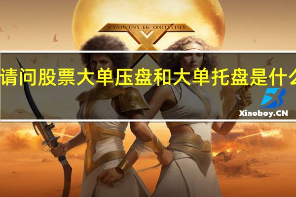 请问股票大单压盘和大单托盘是什么意思