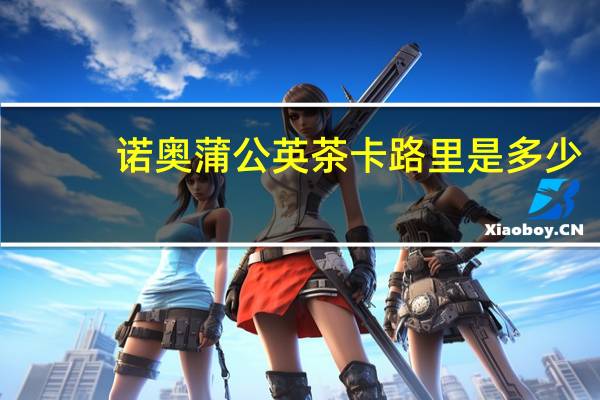 诺奥 蒲公英茶卡路里是多少