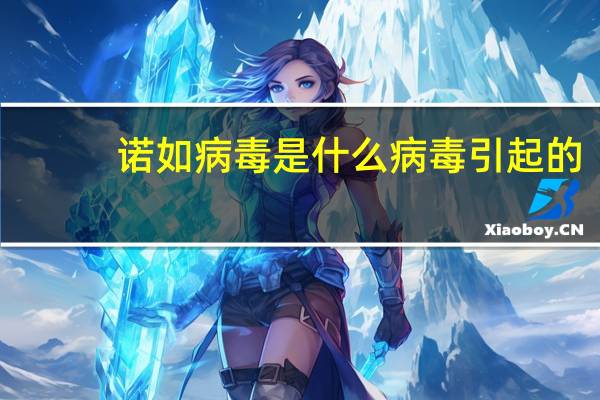 诺如病毒是什么病毒引起的（诺如病毒是什么病）