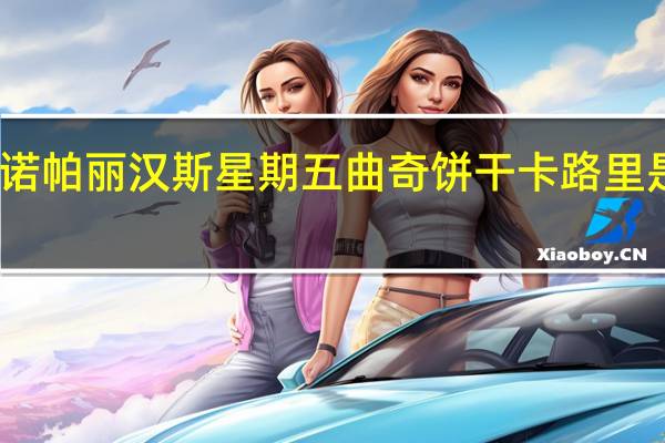 诺帕丽 汉斯星期五曲奇饼干卡路里是多少