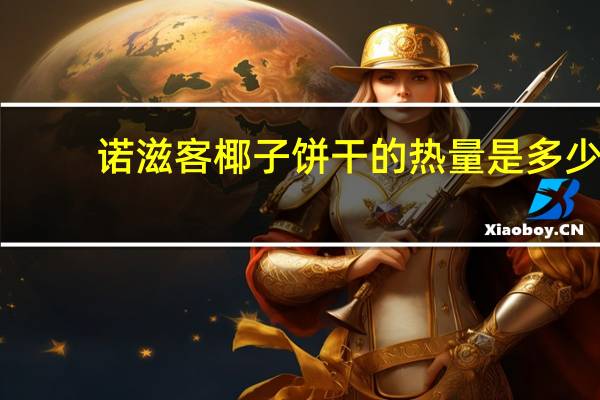 诺滋客 椰子饼干的热量是多少