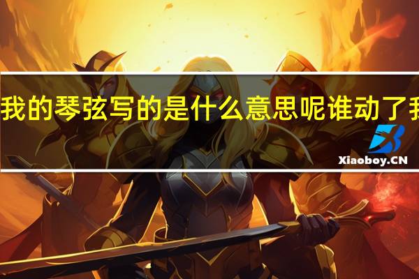 谁动了我的琴弦写的是什么意思呢 谁动了我的琴弦歌词
