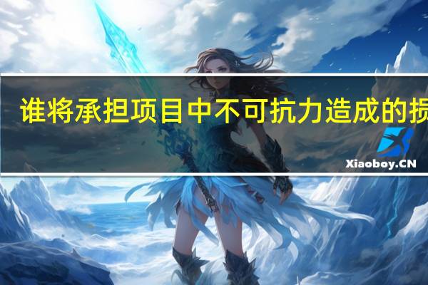 谁将承担项目中不可抗力造成的损失2