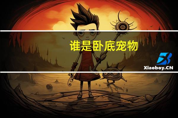 谁是卧底宠物