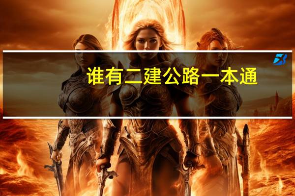 谁有二建公路一本通，能发一份吗