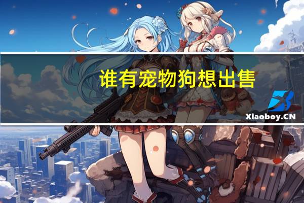 谁有宠物狗想出售