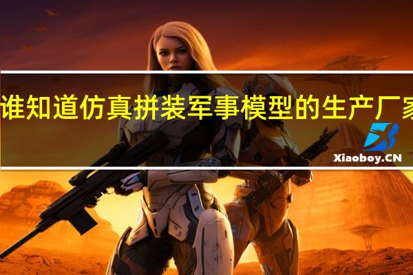 谁知道仿真拼装军事模型的生产厂家啊 急!!!