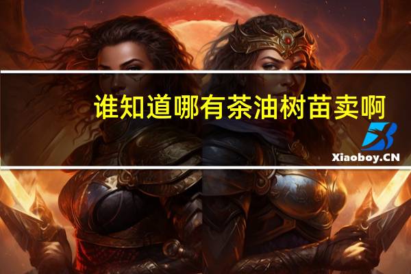 谁知道哪有茶油树苗卖啊