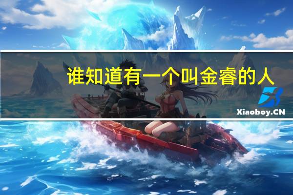 谁知道有一个叫金睿的人，详细说说！