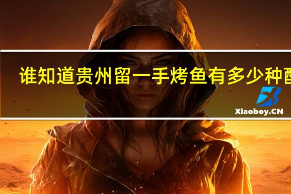 谁知道贵州留一手烤鱼有多少种配方