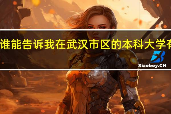 谁能告诉我在武汉市区的本科大学有哪些,在哪里