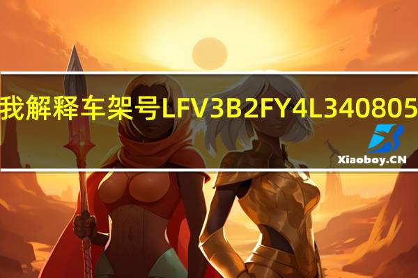 谁能帮我解释车架号LFV3B2FY4L3408058各代表什么