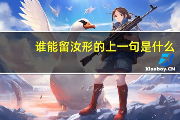 谁能留汝形的上一句是什么