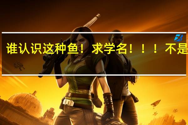 谁认识这种鱼！求学名！！！不是粘鱼，10