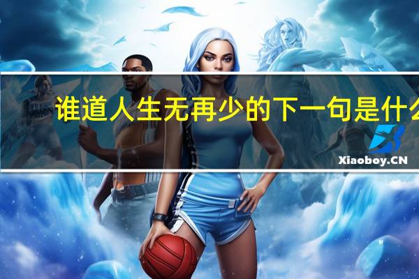 谁道人生无再少的下一句是什么
