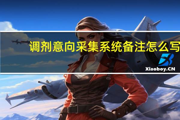 调剂意向采集系统备注怎么写