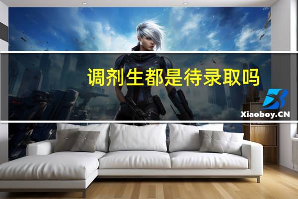 调剂生都是待录取吗