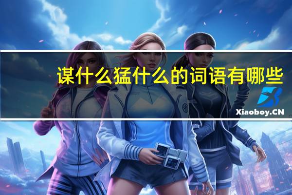 谋什么猛什么的词语有哪些?