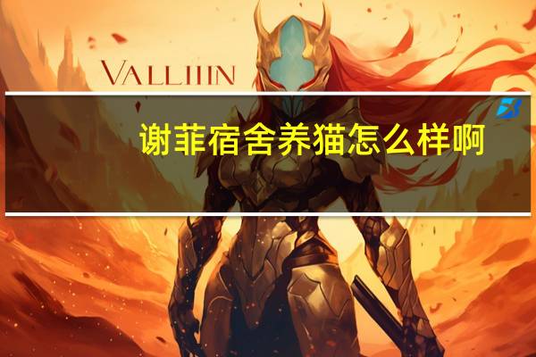 谢菲宿舍养猫怎么样啊