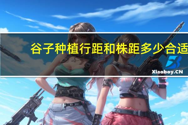 谷子种植行距和株距多少合适
