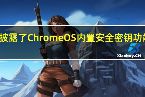 谷歌披露了Chrome OS内置安全密钥功能中的漏洞