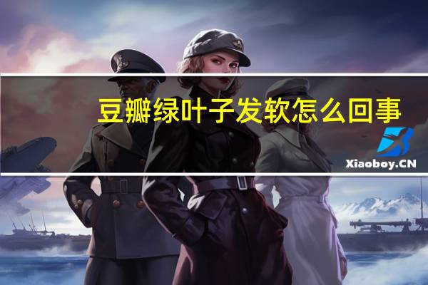 豆瓣绿叶子发软怎么回事