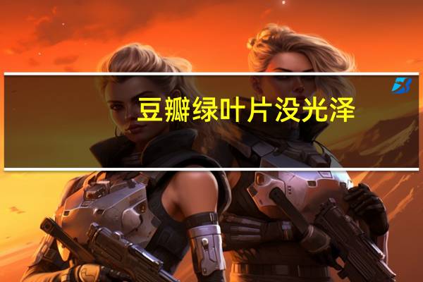豆瓣绿叶片没光泽