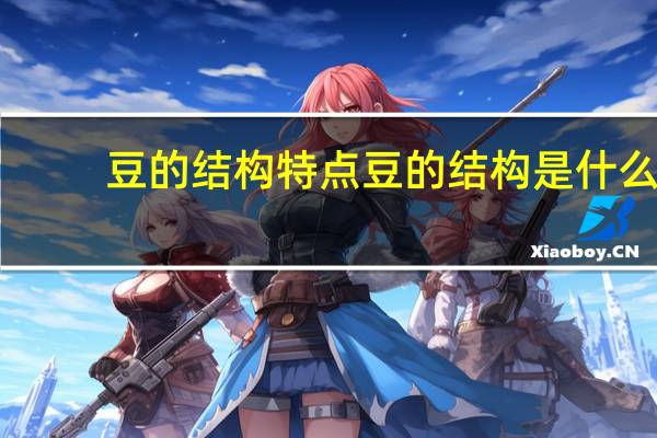 豆的结构特点 豆的结构是什么
