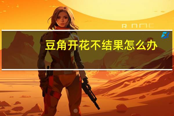 豆角开花不结果怎么办