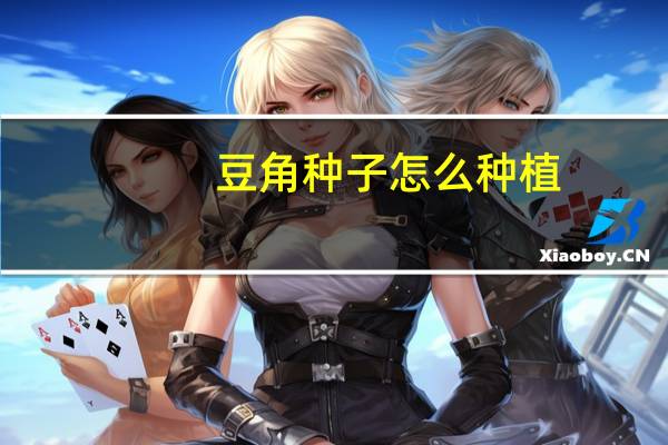 豆角种子怎么种植