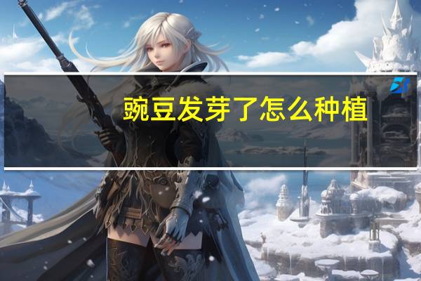 豌豆发芽了怎么种植