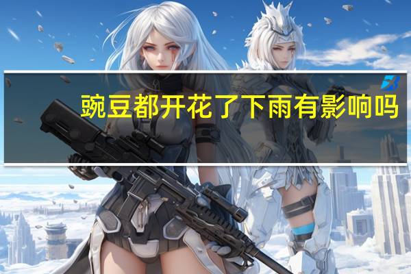 豌豆都开花了下雨有影响吗