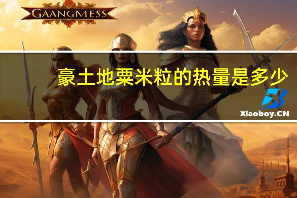 豪土地 粟米粒的热量是多少