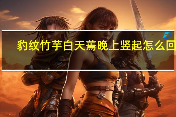 豹纹竹芋白天蔫晚上竖起怎么回事（豹纹竹芋）