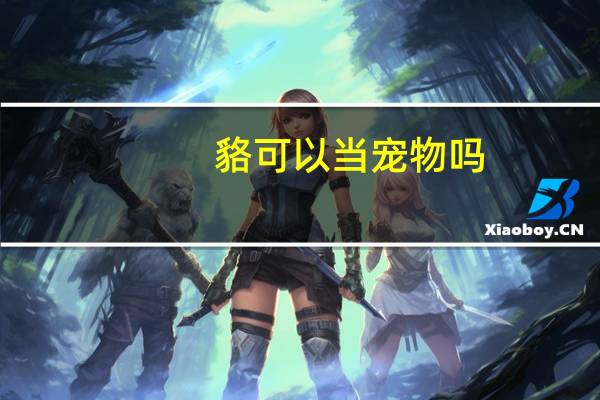 貉可以当宠物吗
