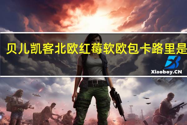 贝儿凯客 北欧红莓软欧包卡路里是多少