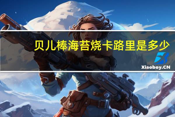 贝儿棒 海苔烧卡路里是多少