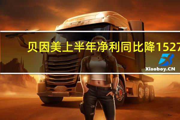 贝因美上半年净利同比降1527.62% 变更名称收关注函