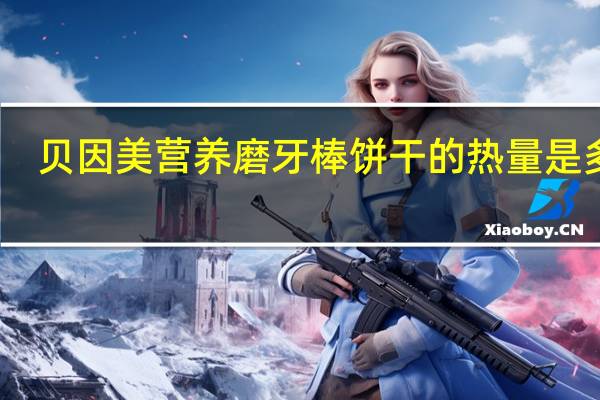 贝因美 营养磨牙棒饼干的热量是多少