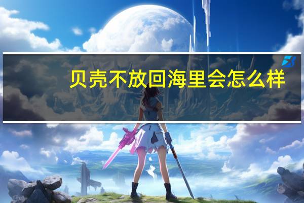贝壳不放回海里会怎么样