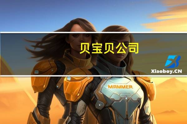 贝宝贝公司（贝宝登陆）