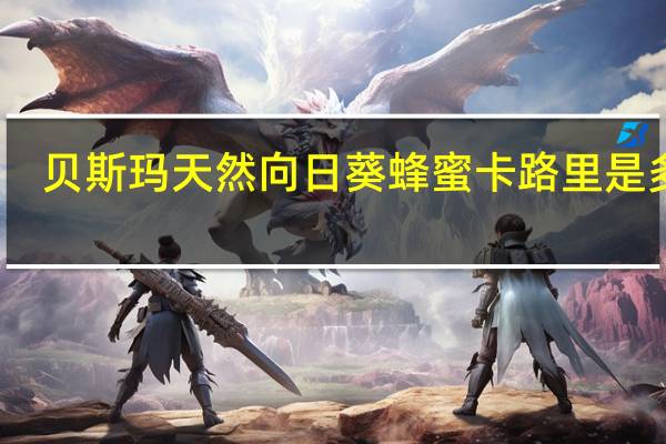 贝斯玛 天然向日葵蜂蜜卡路里是多少