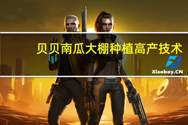 贝贝南瓜大棚种植高产技术