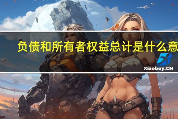 负债和所有者权益总计是什么意思